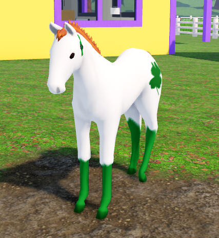 Luic | Clover Clydesdale