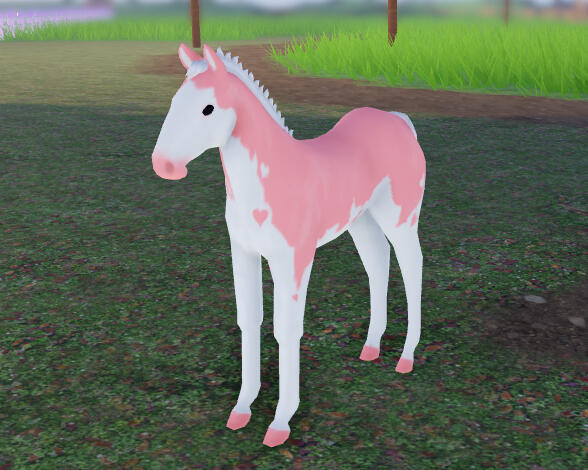 Pixie Stick | Pink Splash Overo Paint