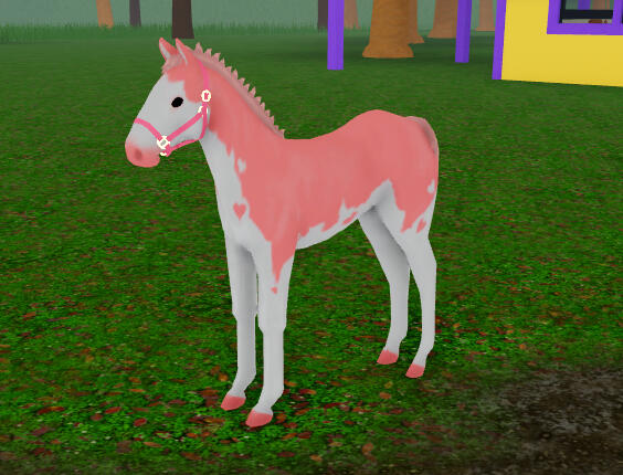 Soup | Pink Splash Overo Paint