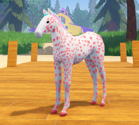 Rock Candy | Pink Hearted Leopard V1 Appaloosa