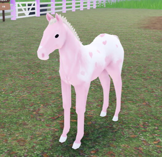 Egg White | Pink Heart Blanket Arabian