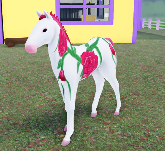 Orchid | Rosey Thoroughbred