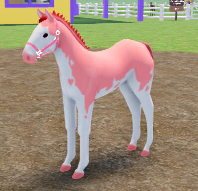 Mashed Potatos | Pink Splash Overo Paint