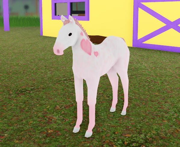 Pink Poodle | Love Dapple Friesian