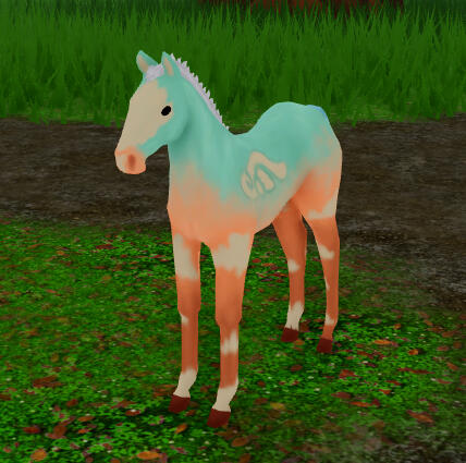 Ravioli | Cupid Fjord