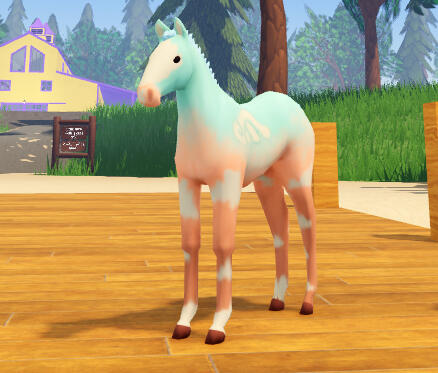 Macaroni | Cupid Fjord