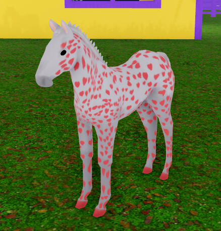 Pop Rocks | Pink Hearted Leopard V1 Appaloosa