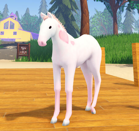 Strudel | Love Dapple Friesian