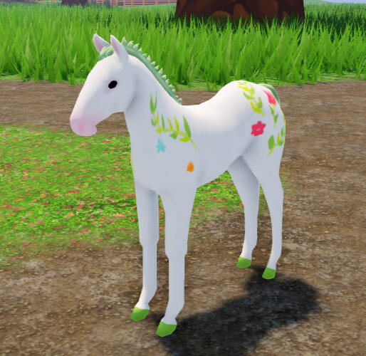 Sea Bunny | Spring Arabian