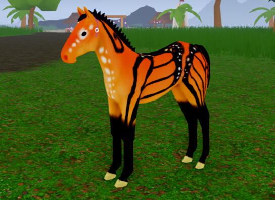 Pumpernickle | Monarch Percheron