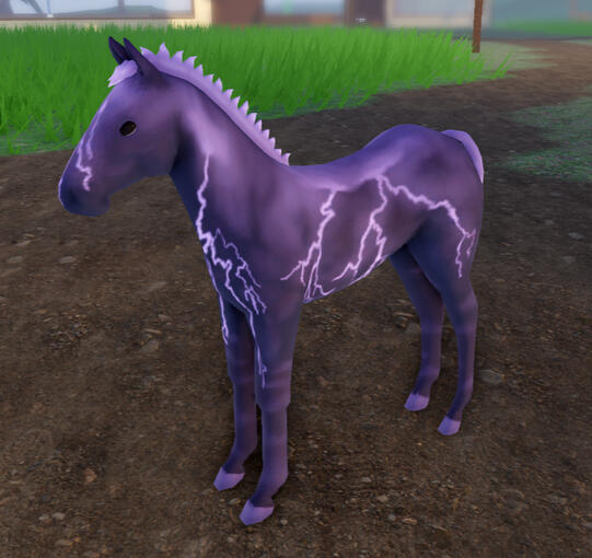 Cranberry Juice | Lavender Storm Thoroughbred