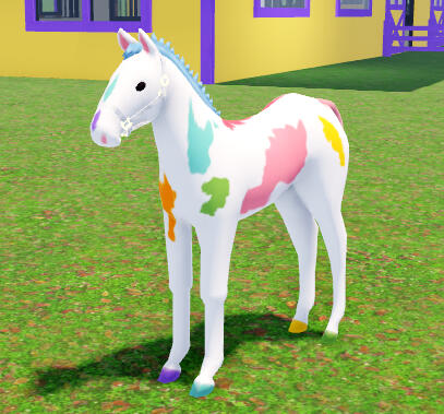 Paint Water | Painted Pinto Paint Horse