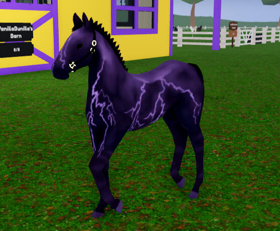 Purified Water | Lavender Storm Thoroughbred