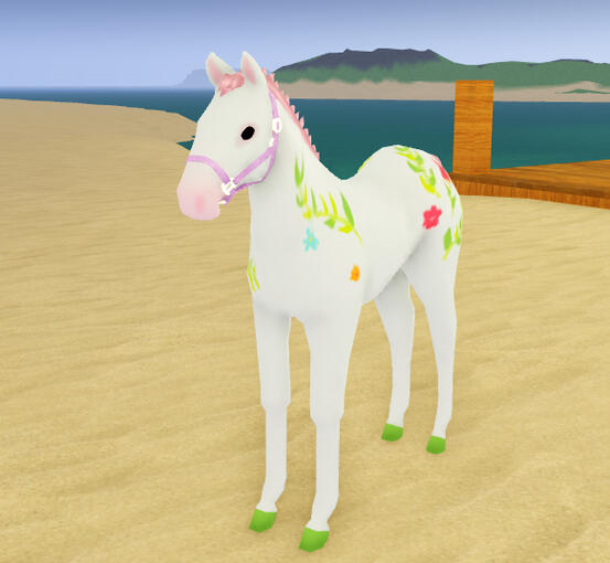 Starfish | Spring Arabian