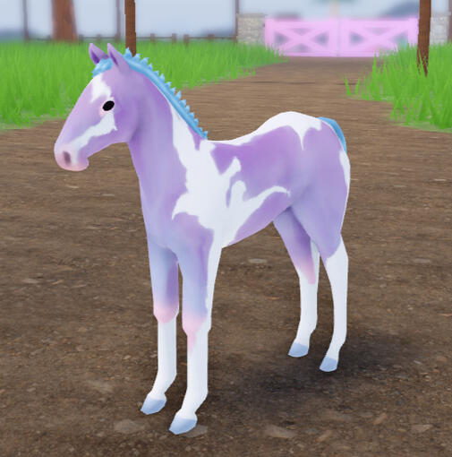 Stink | Pastel Dreams Marwari