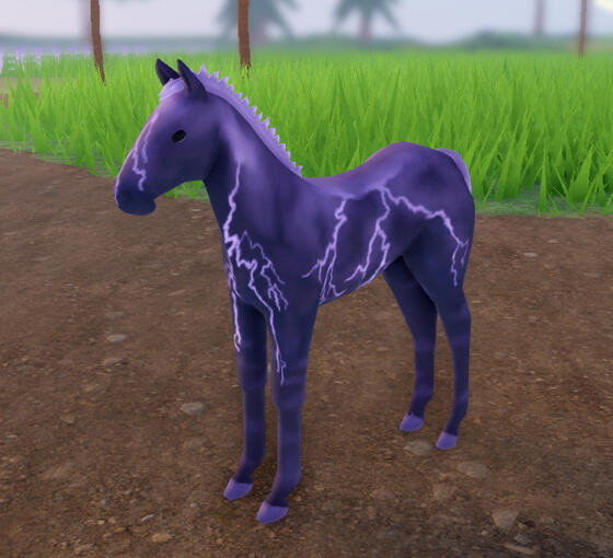 Pepsi | Lavender Storm Thoroughbred
