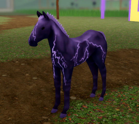 Milkshake | Lavender Storm Thoroughbred