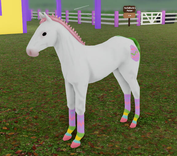 Pudding | Easter Thoroughbred