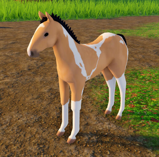 Muffin | Palomino Tobiano Paint Horse