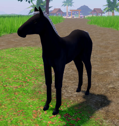 Rye Bread | Black Percheron