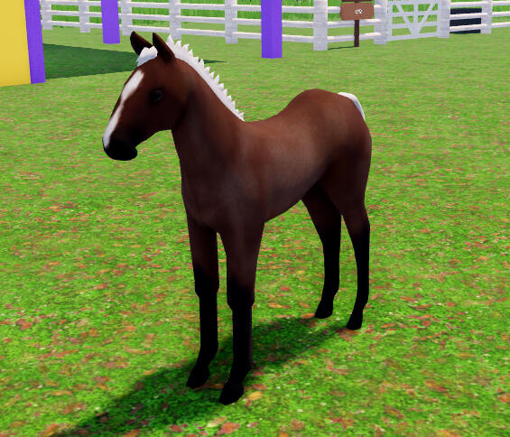 Chocolate Chip | Bay Roan Quarter Horse