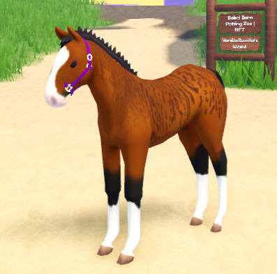 Tigerlilly | Bay Brindle Arabian