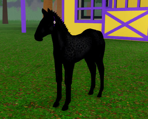 Volcanic Ash | Rev Dapple Percheron