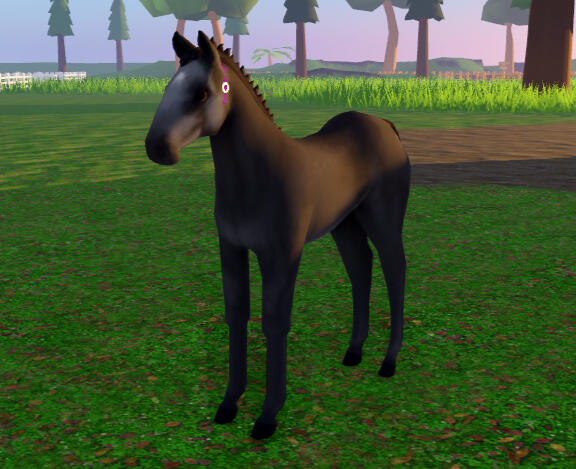 Bojangle | Steel Grey Percheron