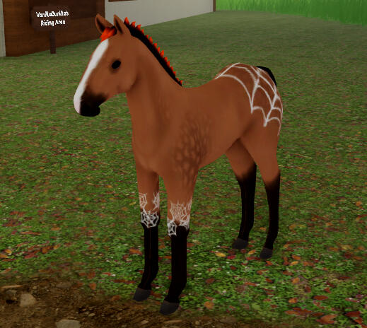 Spooder Man | Spider Web Appaloosa