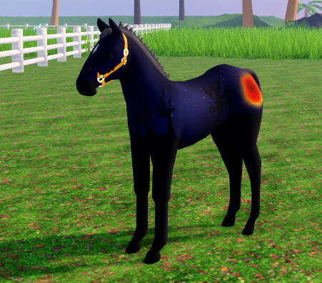 Iris | Bloodmoon Thoroughbred