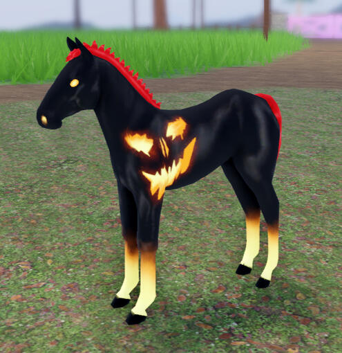 Gourdon | Jack'O'Lantern Andalusian