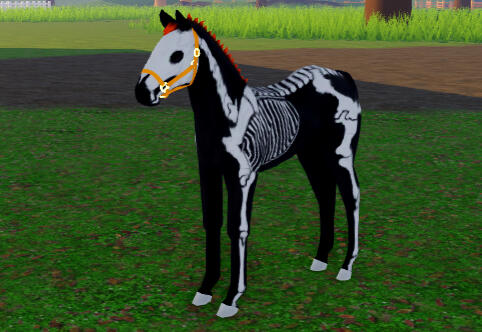 Carrot | Skeleton Arabian