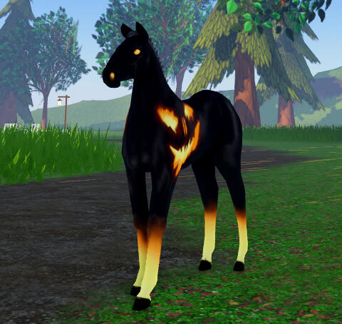 Squash | Jack'o'Lantern Andalusian