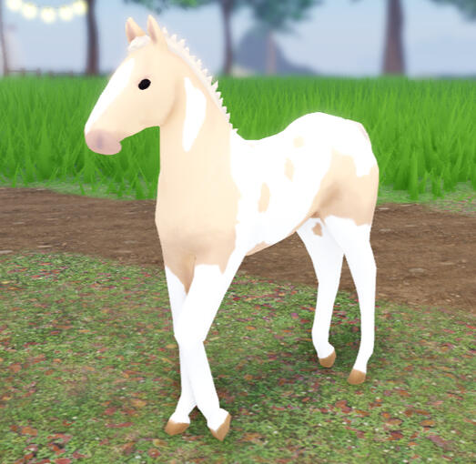 Pizza Dough | Legacy Palomino Pinto Friesian