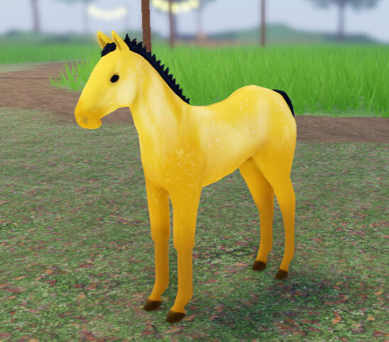 ??? | Golden Apple Percheron