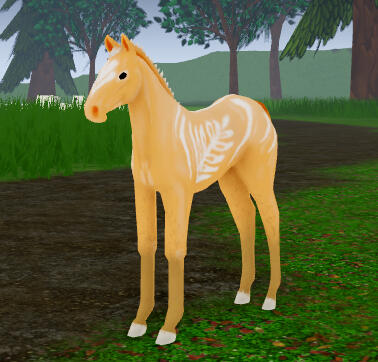 Five-Spice | Pumpkin Spice Latte Fjord