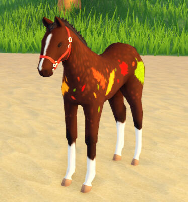 Crunchy | Autumn Quarter Horse