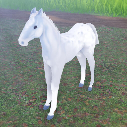 Leaf | Overcast Appaloosa