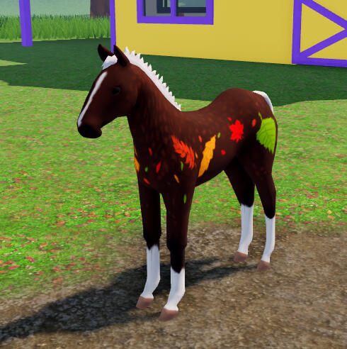 Cwipsy | Autumn Quarter Horse