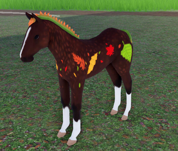 Cweam | Autumn Dapple Quarter Horse