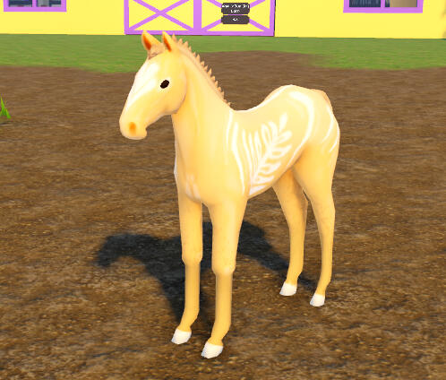 Juniper | Pumpkin Spice Latte Fjord