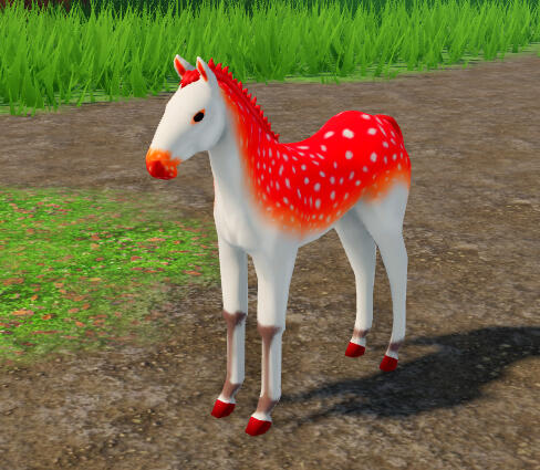 Scoliosis | Toadstool Fjord