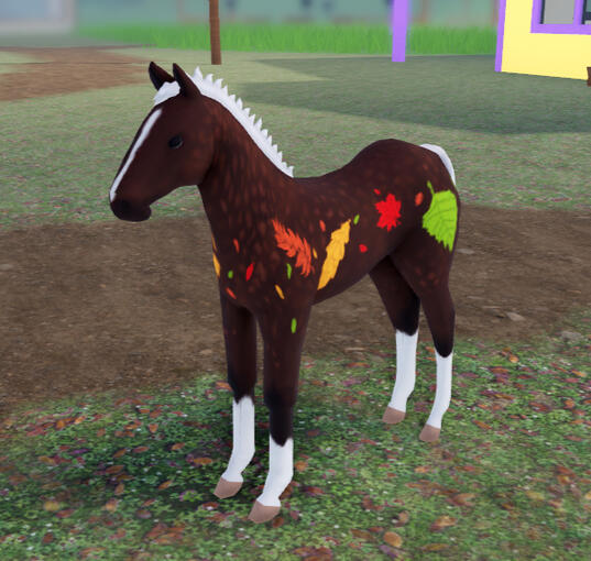 ??? | Autumn Dapple Quarter Horse