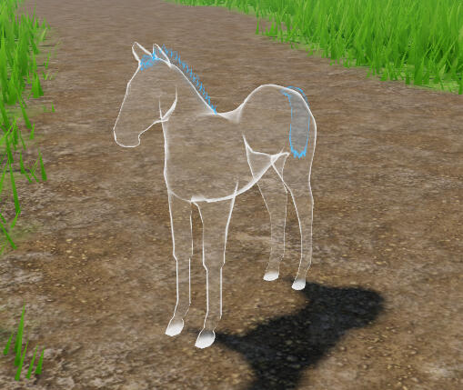 Jellyfish | White Ghost Fjord