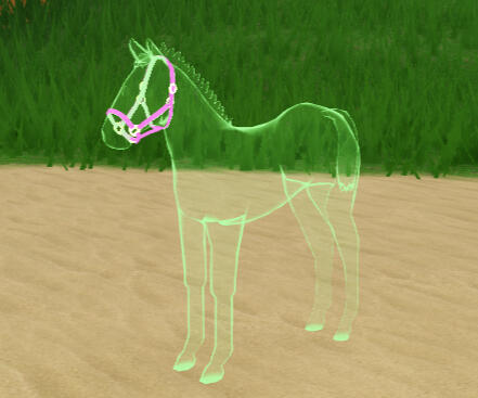 Lettuce | Green Ghost Mustang