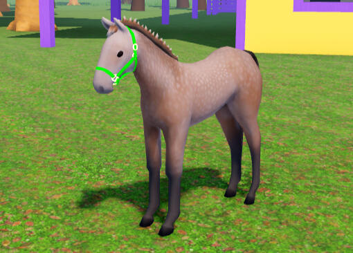 Dust Bunny | Rose Grey Quarter Horse