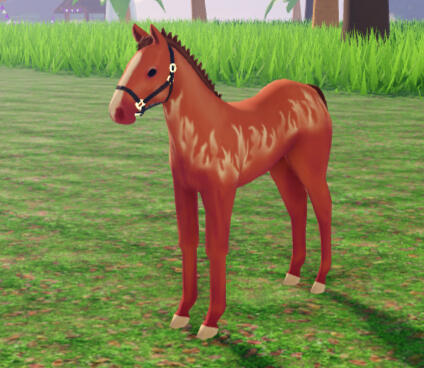 Meatball | Infernal Quarter Horse