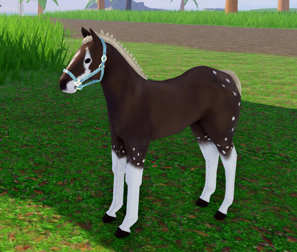 Moose Tracks | Hot Cocoa Mustang