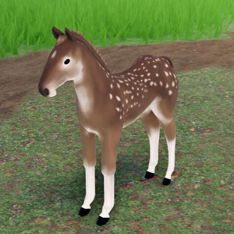 Peppermint Patty | Fawn Fjord