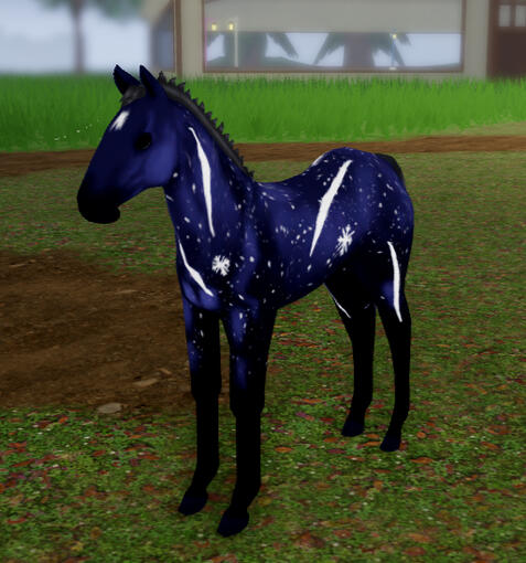 Galactic Fart | Midnight Storm Percheron